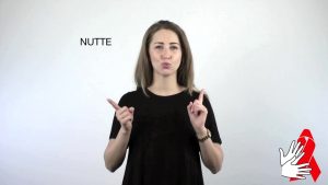 Nutte